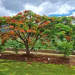 Khedekar Farms