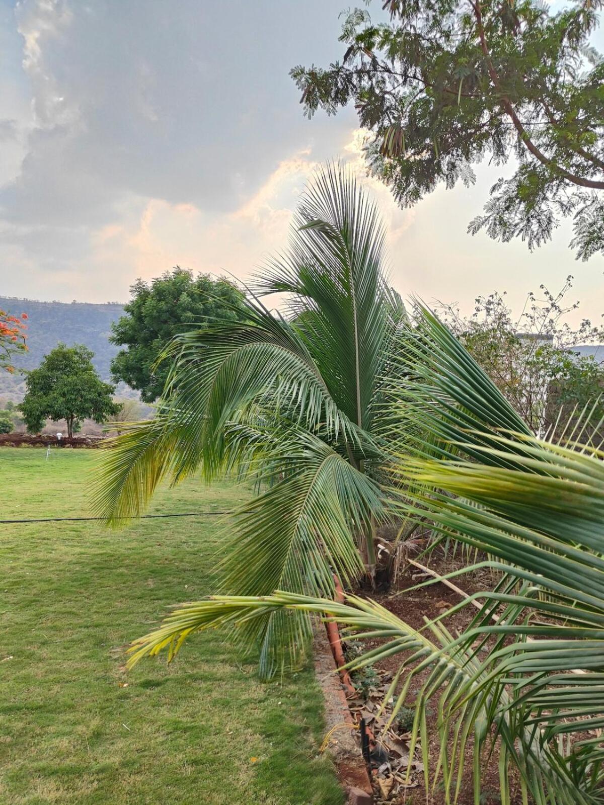 Khedekar Farms Villa *