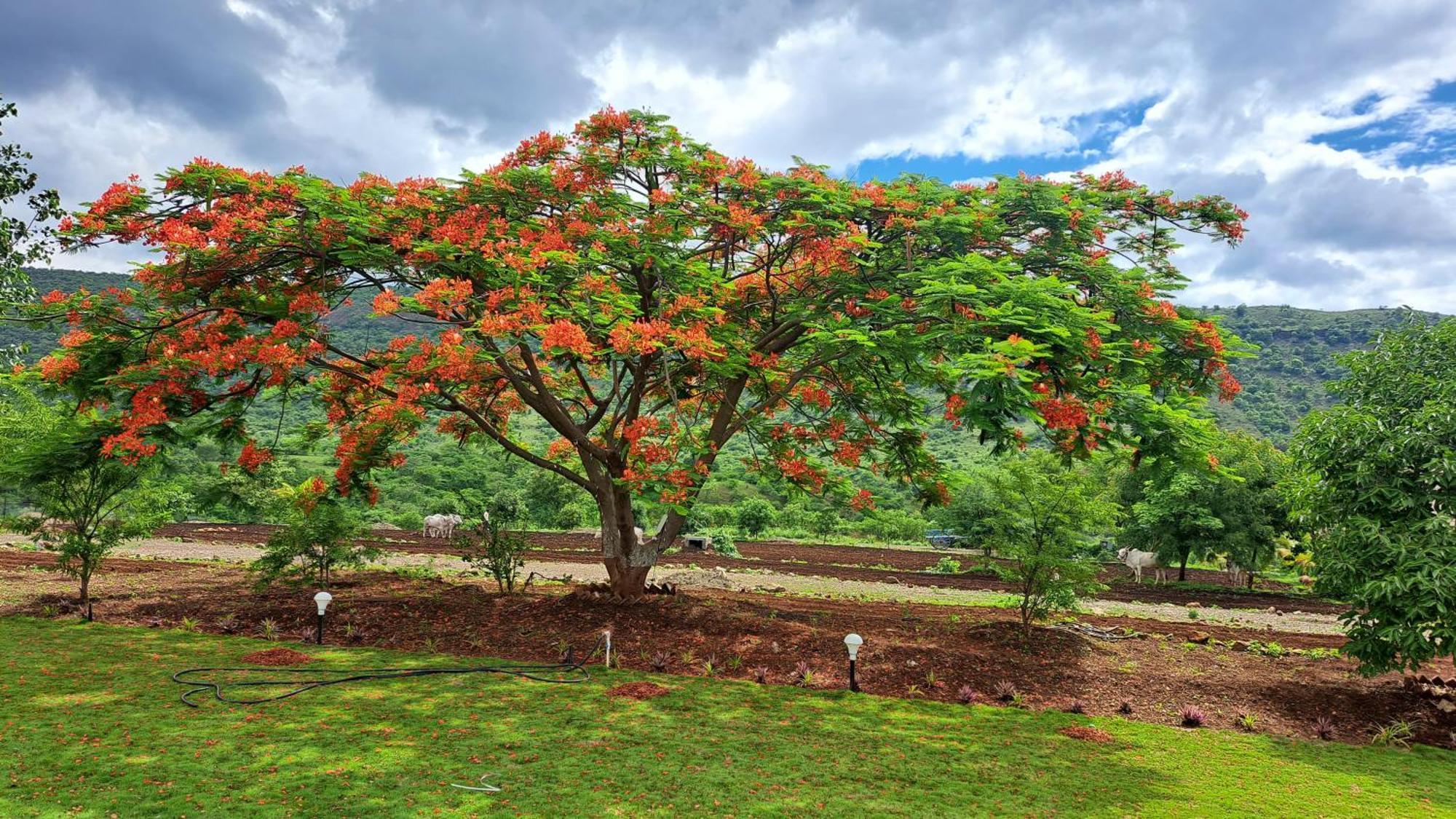 Khedekar Farms Villa Pune