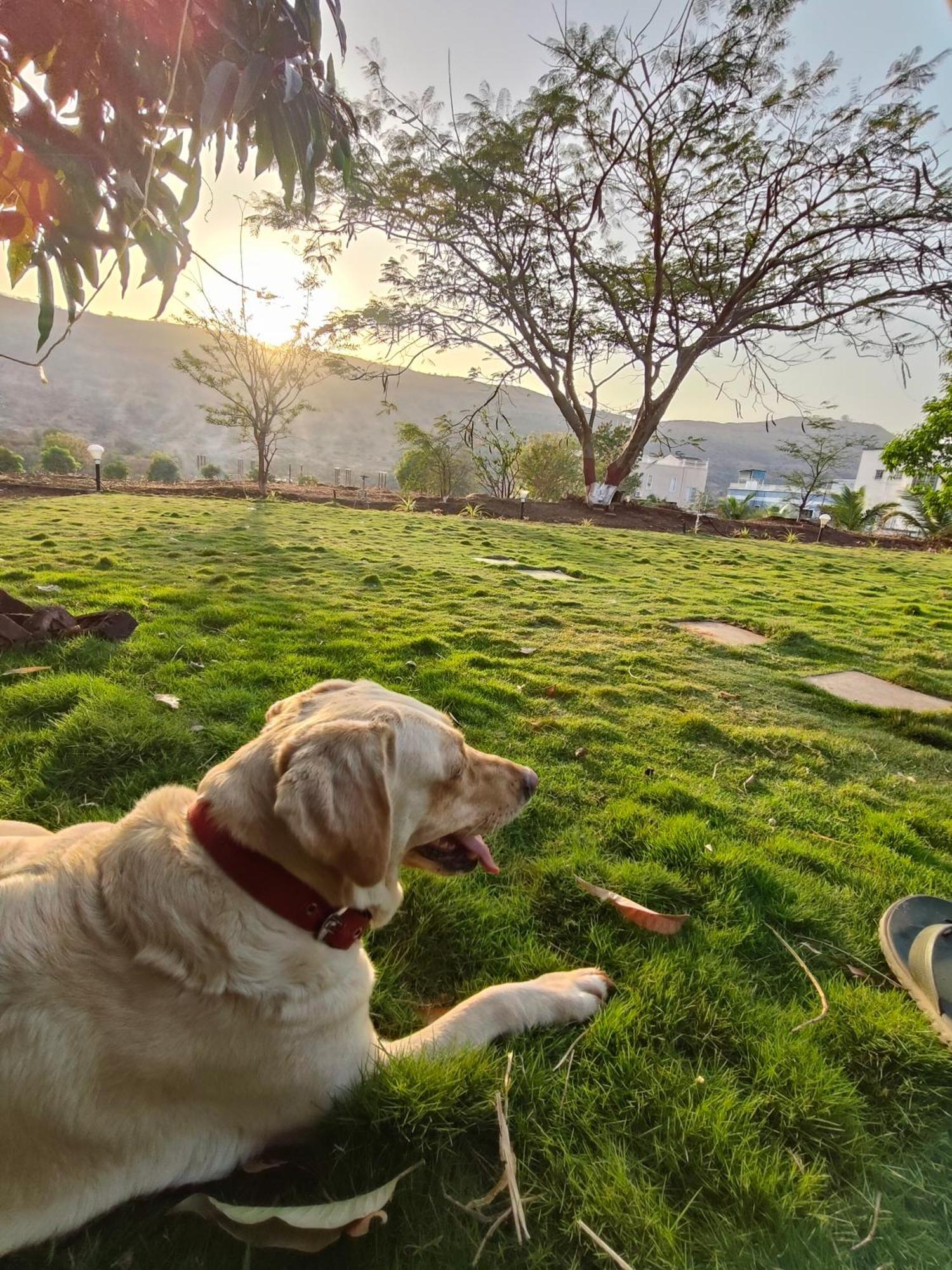 Khedekar Farms Villa